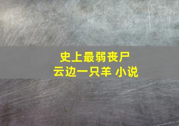 史上最弱丧尸 云边一只羊 小说